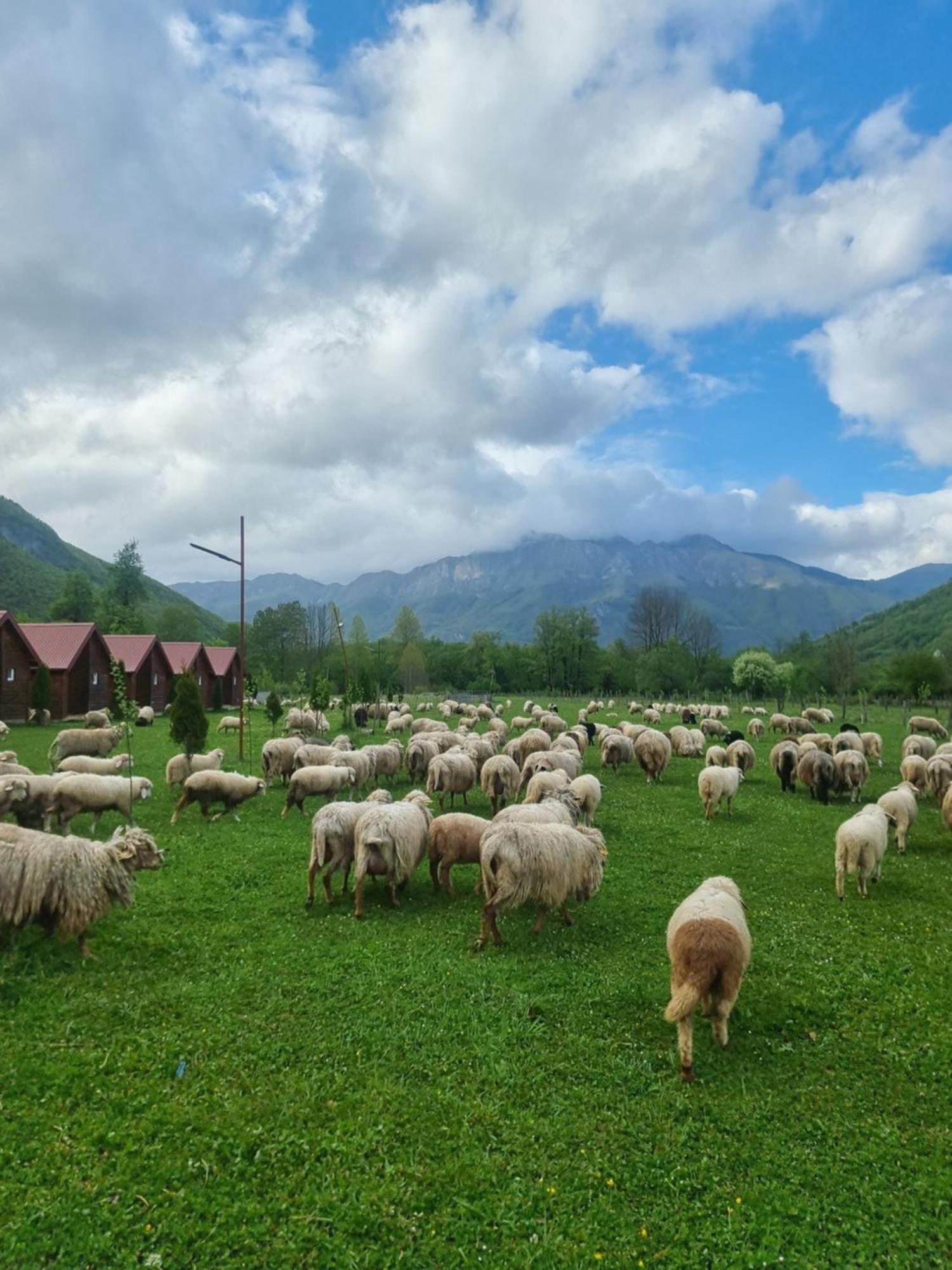 Ethno Katun Rosi Agrotourism Hotel Gusinje Exterior photo